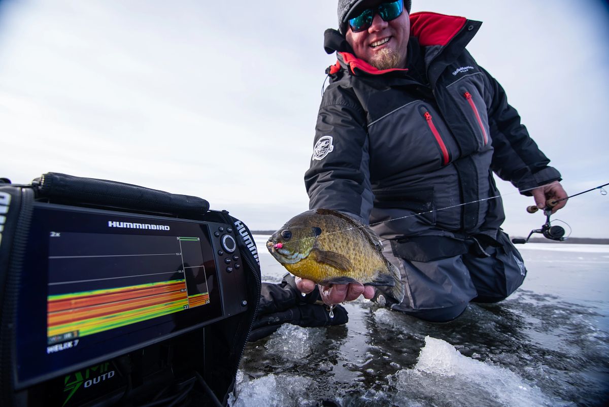 Man holding a fish by a hummingbird