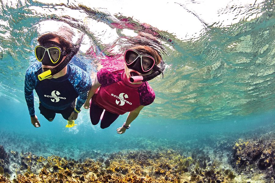 Two snorkelers
