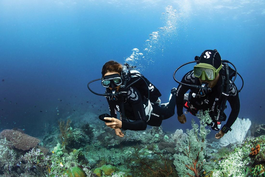 Two divers over coral