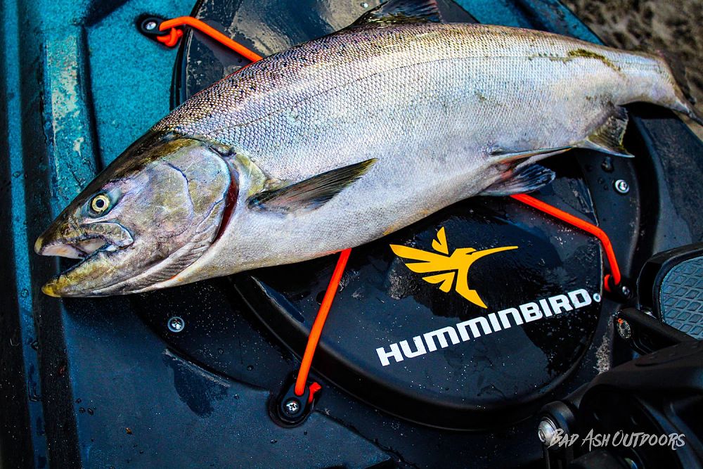 Salmon on top of kayak