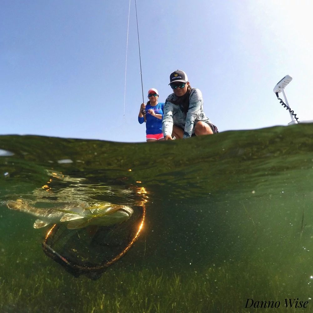 Fish underwater biting a hook