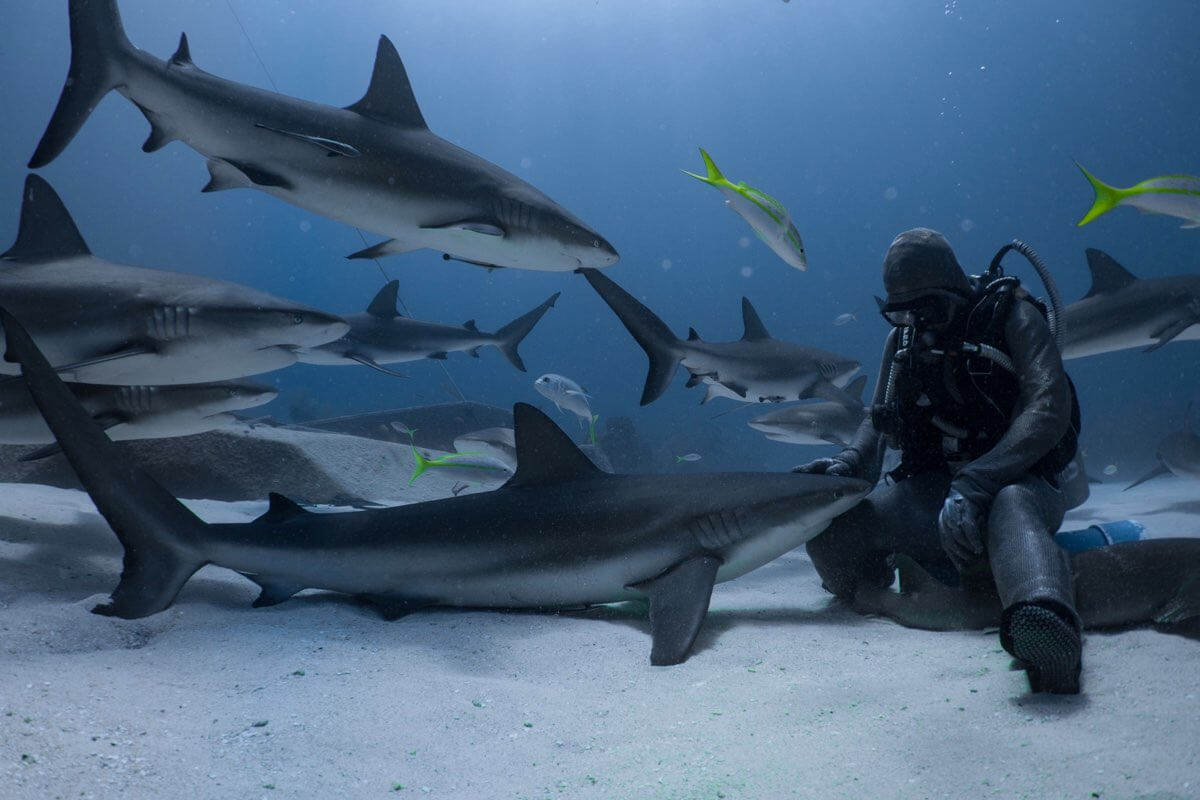 scuba-cristinazenato
