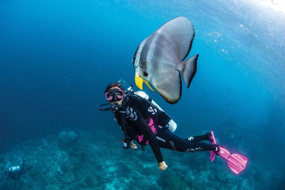 SCUBA diver looking at fish