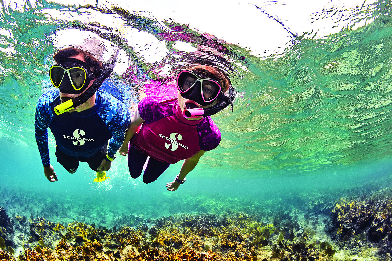 10 SUSTAINABLE DIVE TRAVEL TIPS Johnson Outdoors