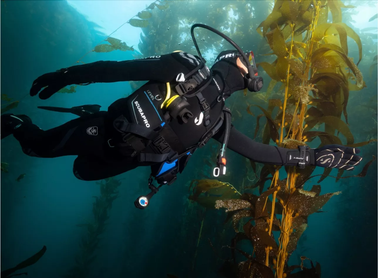 3-building-on-our-legacy