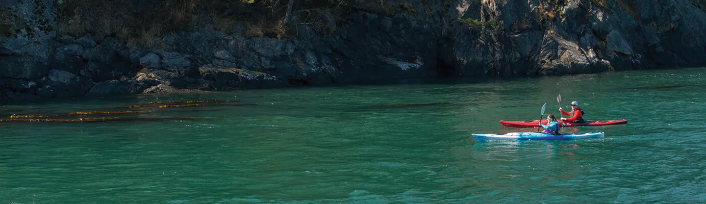 Johnson Outdoors News Listing