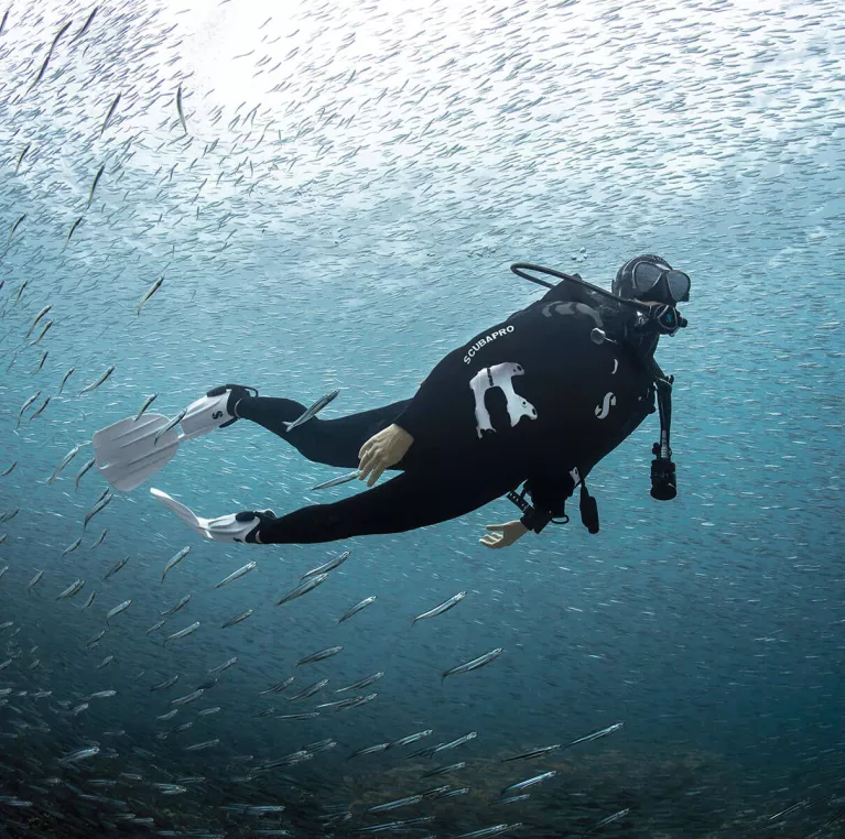 Scuba Diving Brands & Gear Johnson Outdoors Johnson Outdoors