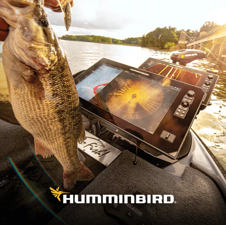 Humminbird